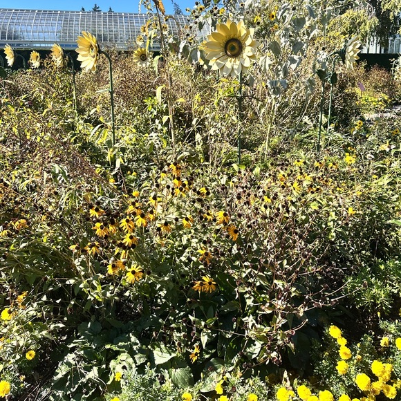 Meet your Posher, Susane - Picture 15 of 17